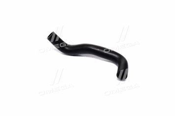 Патрубок сепаратора CHERY AMULET правый DK.480ED1014058 46131208035-omg фото
